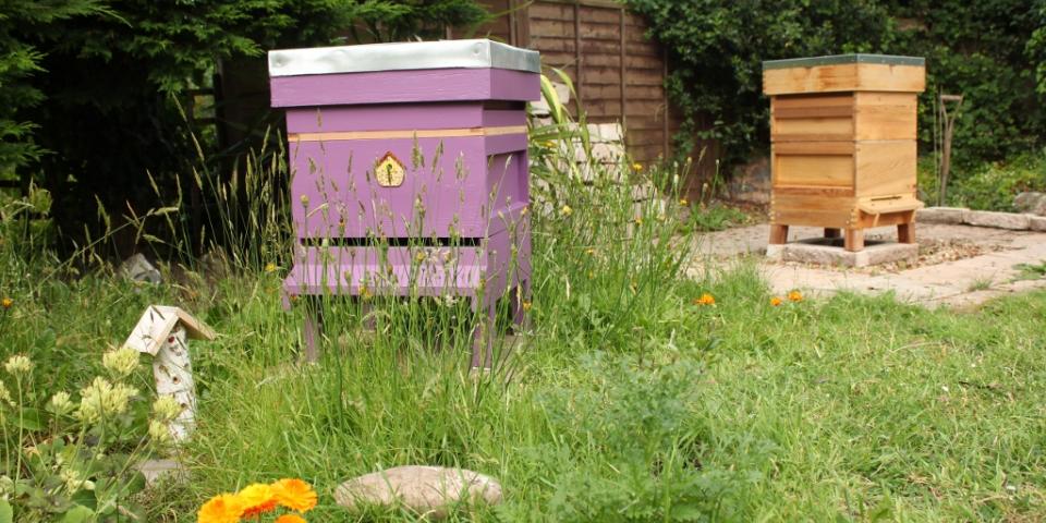 Newly painted beehive in garden