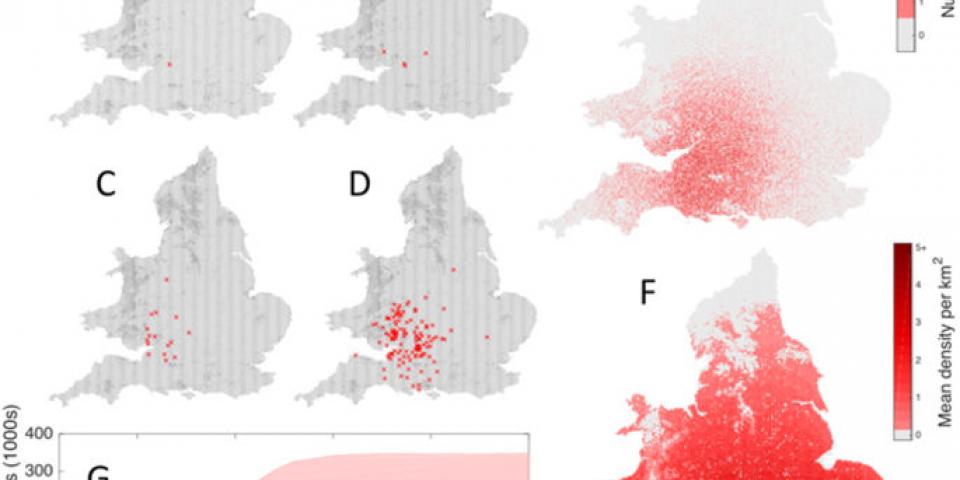 Dynamics of V. velutina nests in England and Wales showing its spatial spread and rapid increase in numbers