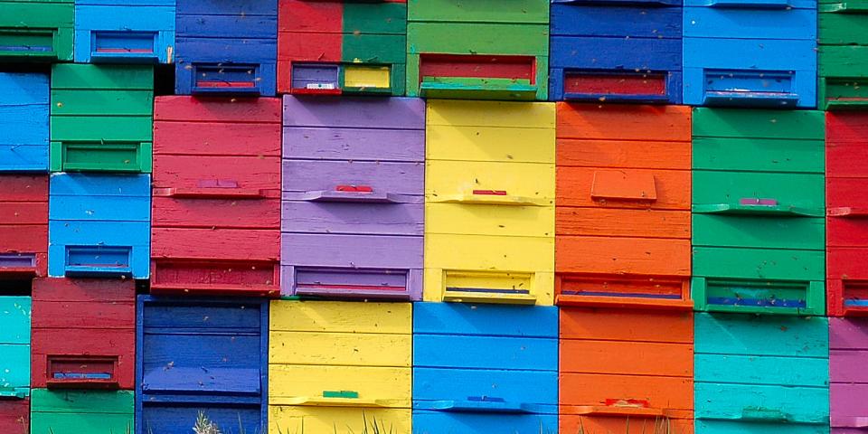 Beehives, Selo pri Bledu, Bled, Slovenia