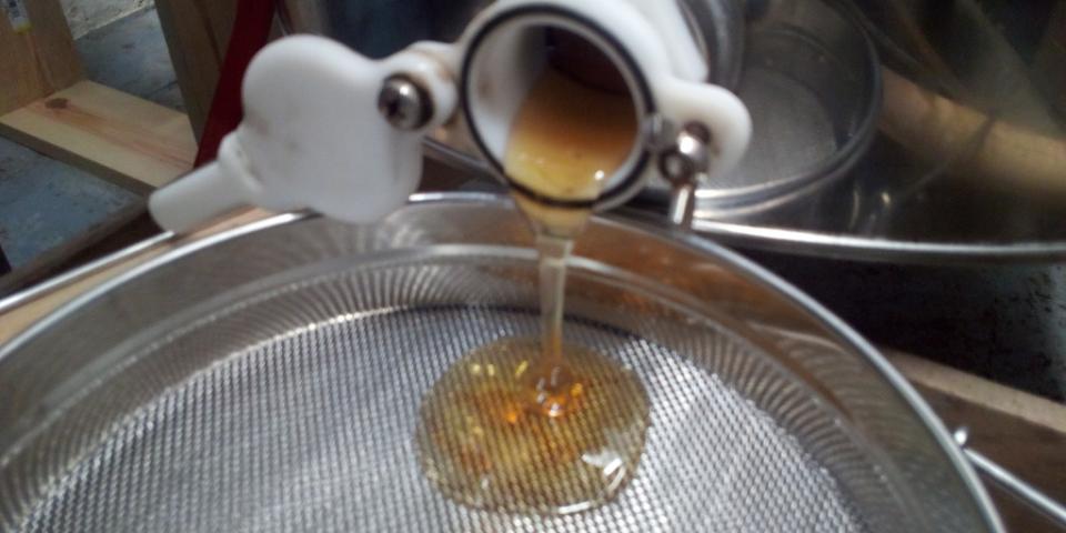 Extracting honey