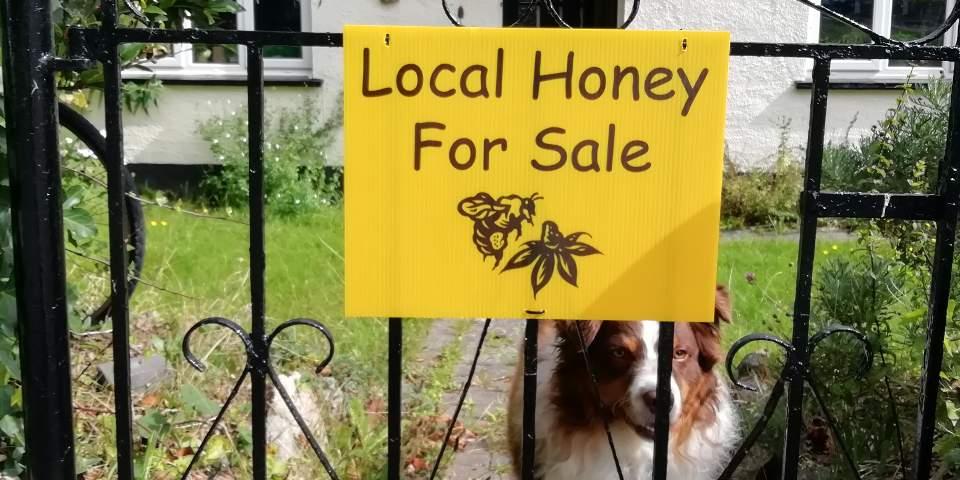 Honey for sale sign