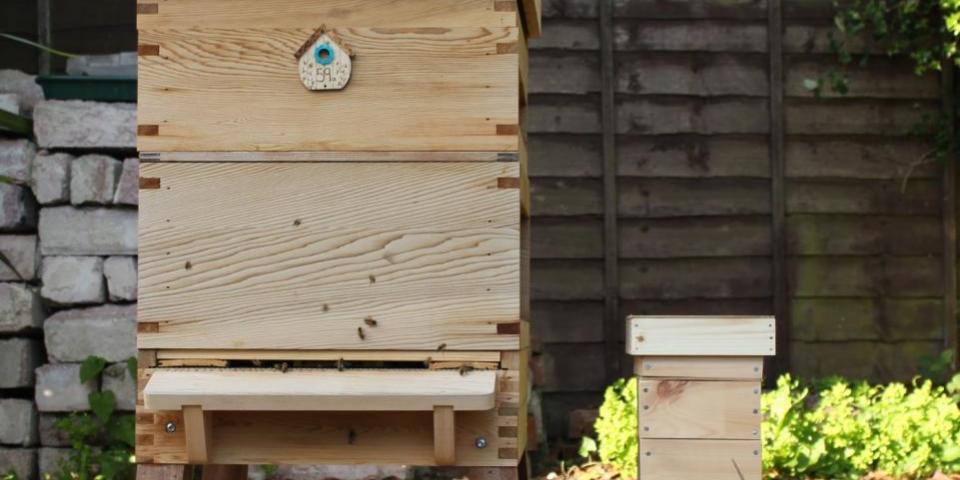 Little and large beehives