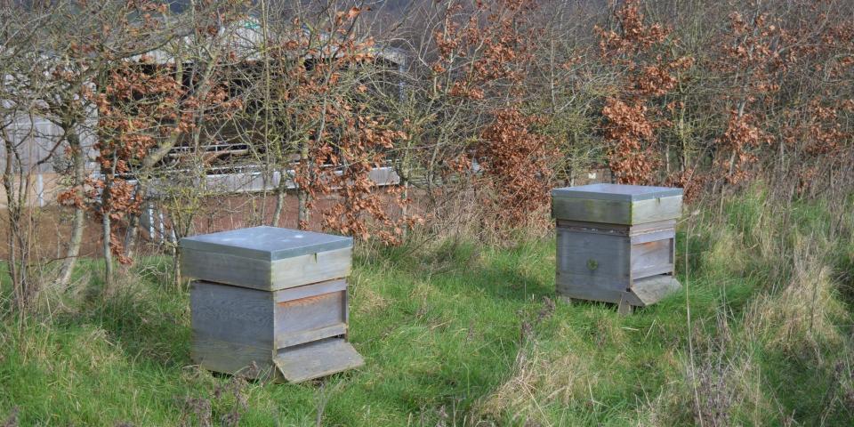 National beehives