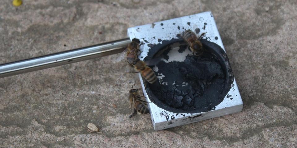 Bees on Vapmite rod
